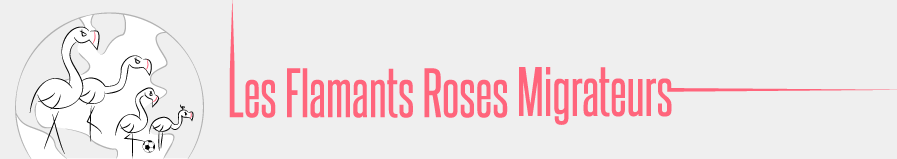 Les flamants roses migrateurs